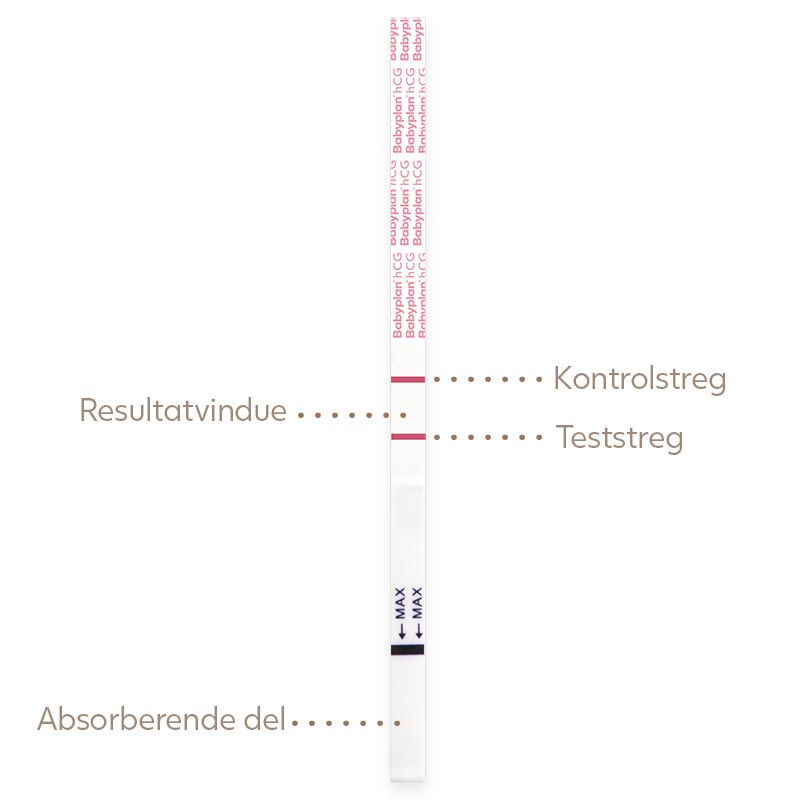 protestantiske moden bjælke Babyplan Graviditetstest Strimmel - 99% sikkert svar på om du er gravid på