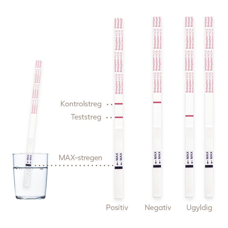 Graviditetstest - 99% sikkert svar på om du er gravid på