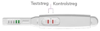 Positiv RFSU graviditetstest