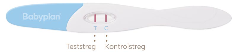 Positiv ægløsningstest stav