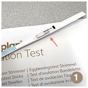 Strimmel testens farvepude